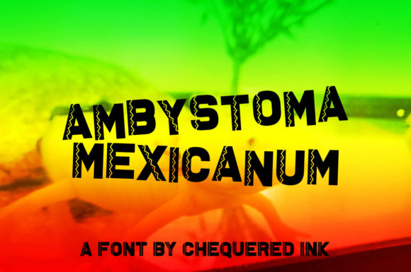 Ambystoma Mexicanum: A Bold Font for Mexican-Inspired Design